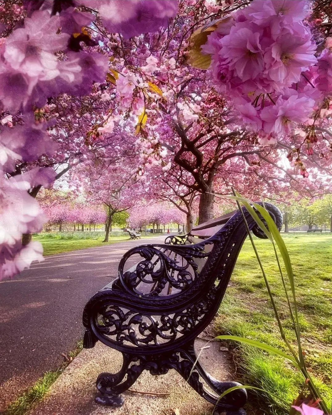 London Vacations - Happy Easter from one of our favourite London parks