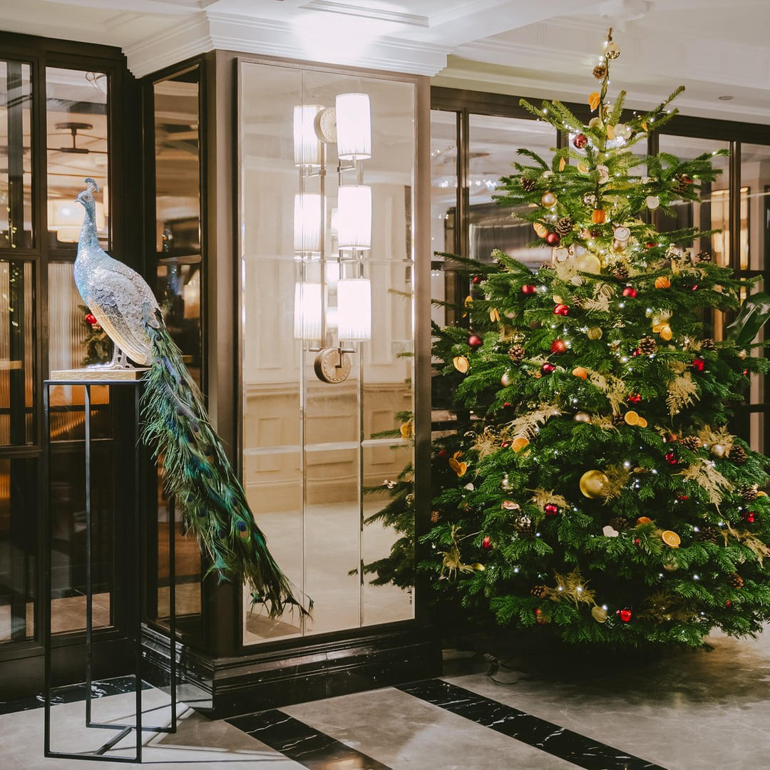 The Mayfair Townhouse - The early bird catches the dandy worm